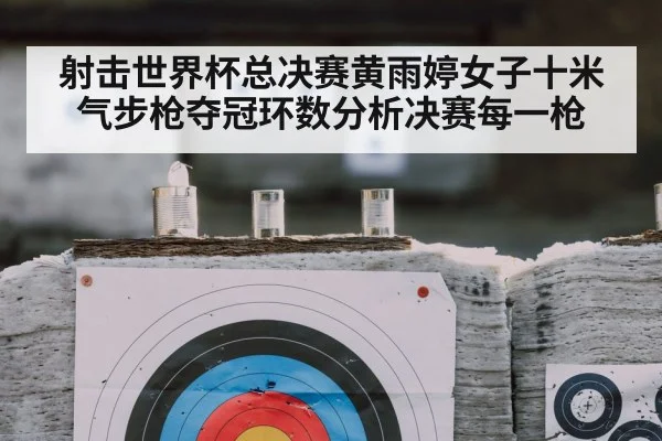 shooting sport target accuracy